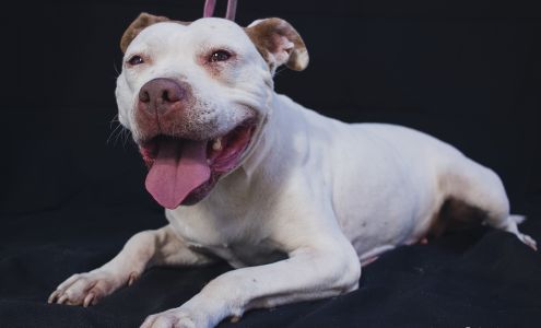 Urban Design & Media