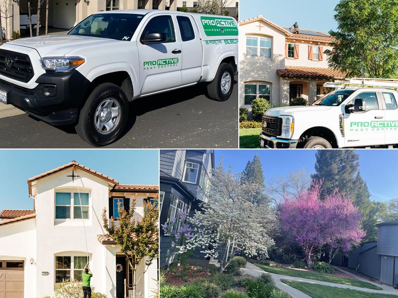 Pro Active Pest Control