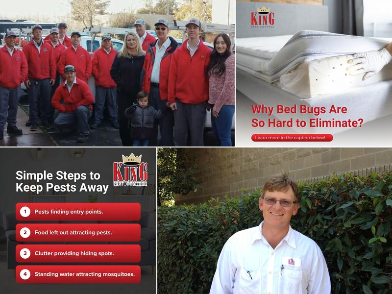 Cal King Pest Control