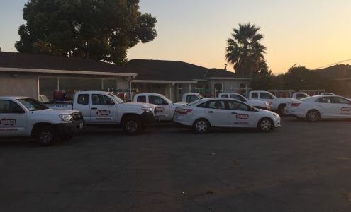 Dewey Pest & Termite