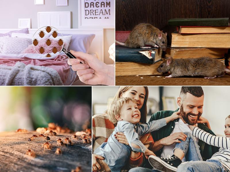 We Care Pest Solutions