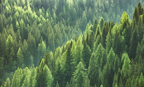 Ecovantage Reprographics Inc