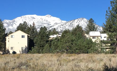 Mammoth Business Essentials