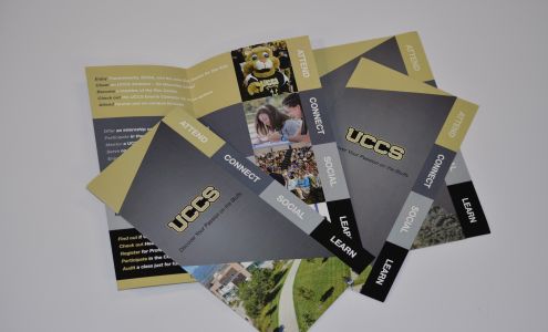 Cheetah Printing and Design