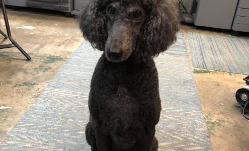 Advantage Printing - HOF'S