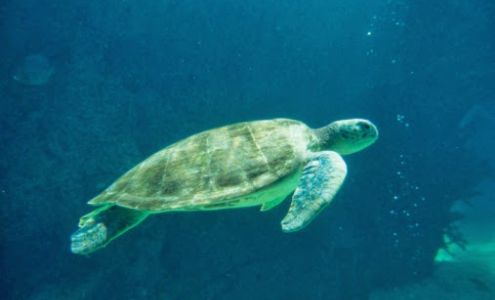 Ocean City Printing & Graphic Design