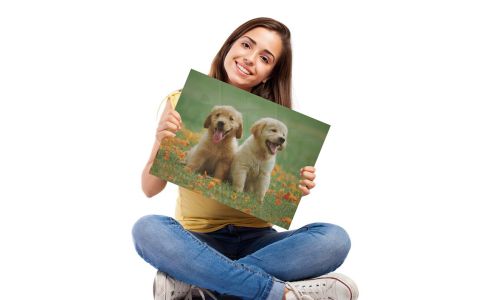 APG Graphics - Photo Glass Printing