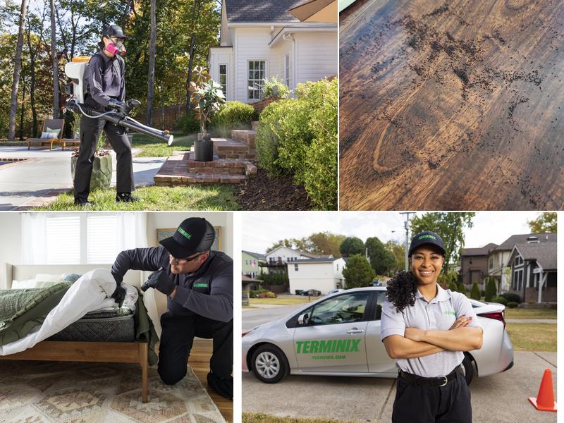 Terminix