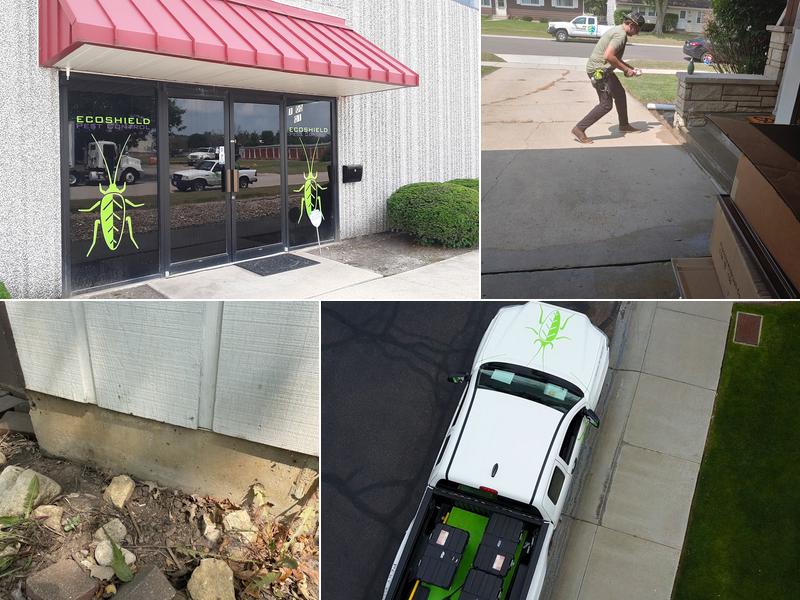 EcoShield Pest Solutions