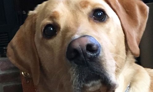 Robin Imaging Services and The Mohawk Gallery