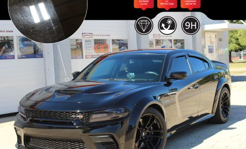 Omega Windows Tinting