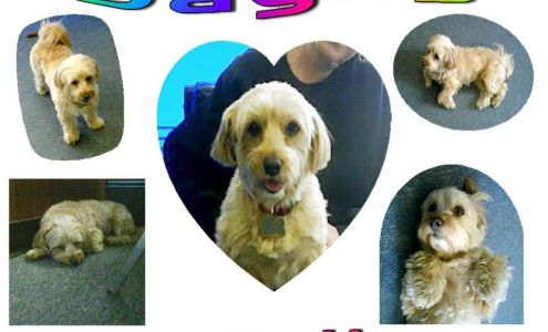 Alloy Printing is now Minuteman Press White Plains