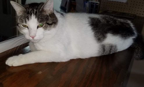 Signs Plus Sign Systems, LLC