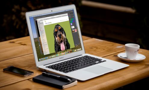 Inspired Dog Graphic Design, LLC