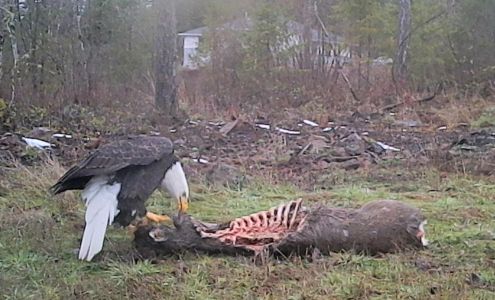 The Reflector Newspaper