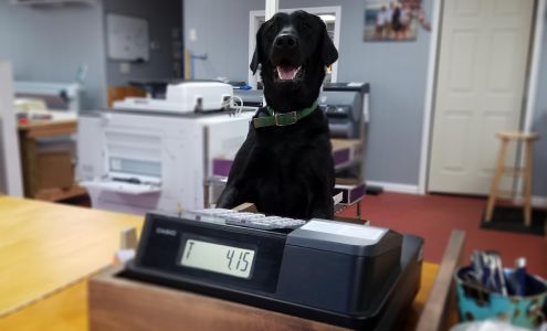 CopyCats Print Services, LLC