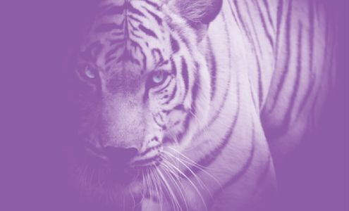 Anchor Graphics Labels & More