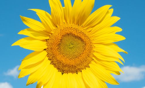 Photography By Kathy