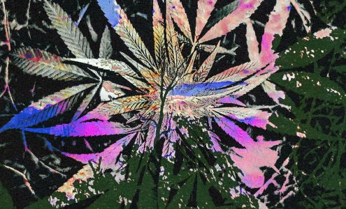 Happy Daze Smoke Shop