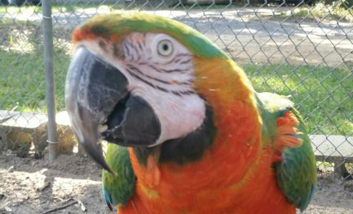 Uncle Sandy's Macaw Bird Park