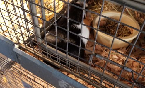 Wagon Wheel Garden and Pet