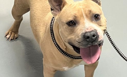 Winslow Animal Control Shelter