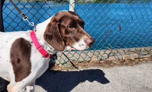 South Coast Humane Society