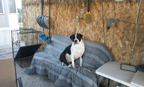 Humane Society of Fremont County