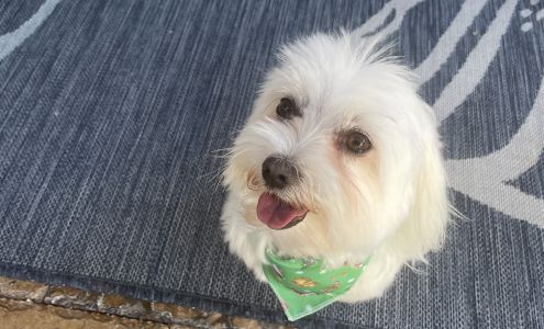 Woof Gang Bakery & Grooming Yamato