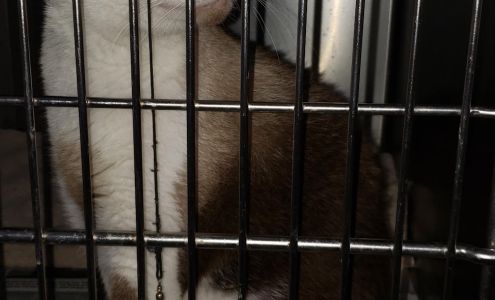 Upper Keys Humane Society Inc