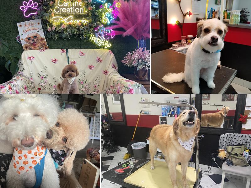 Canine Creations Pet Salon and Spa