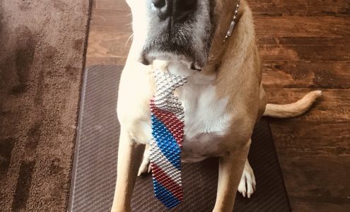 Humane Society-Forsyth County