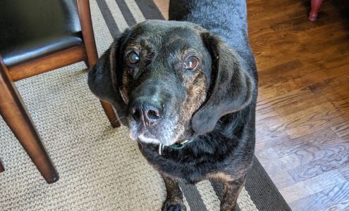 Appalachian Animal Rescue Center