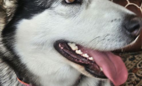 Teton County Animal Shelter