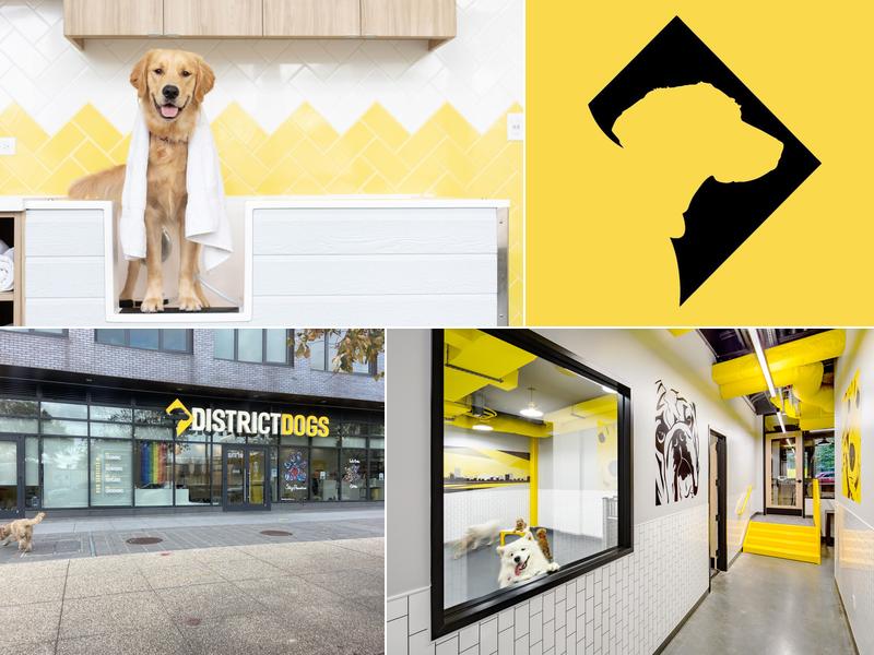 District Dogs Navy Yard