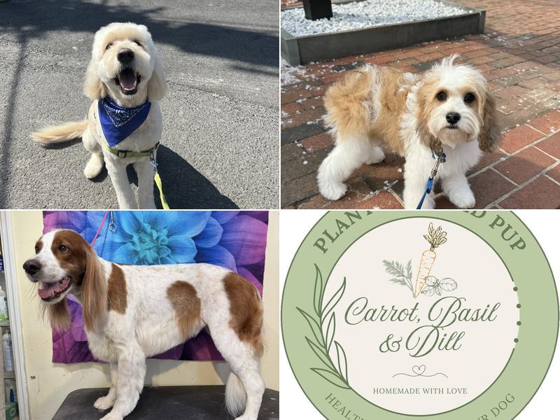 New Hope Pet Grooming