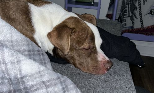 CMPD Animal Care & Control