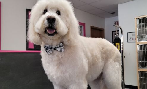 Doggie Do's Hair Salon