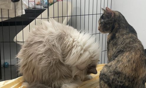 Montgomery County SPCA