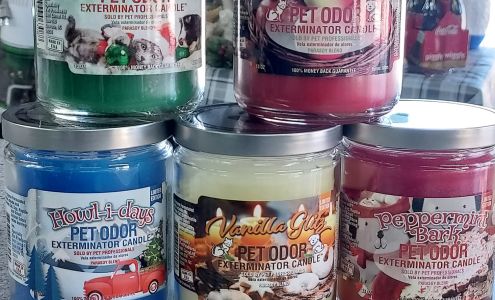 Dave's Pets Belle Haven