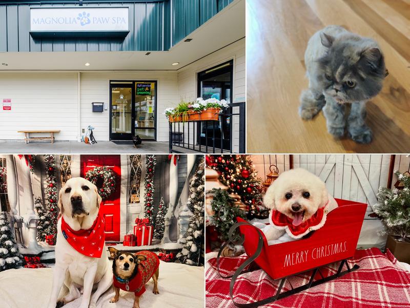 Magnolia Paw Spa
