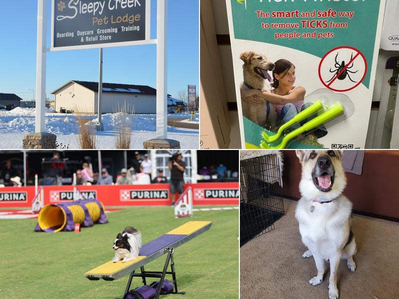 Sleepy Creek Pet Lodge