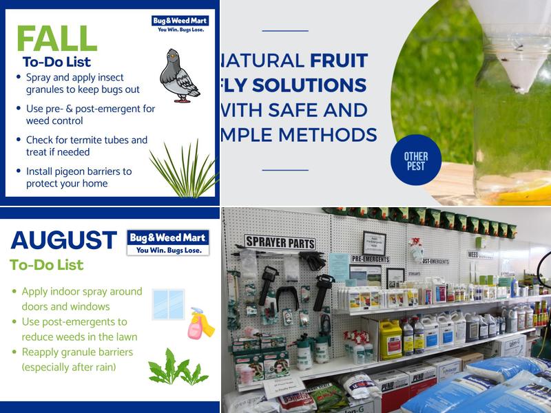 Bug & Weed MART Phoenix