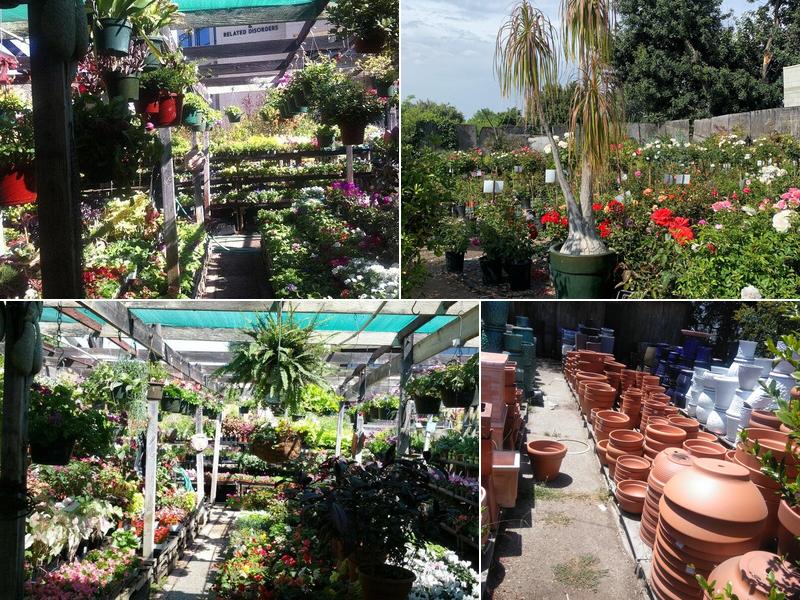 West Valley Nursery
