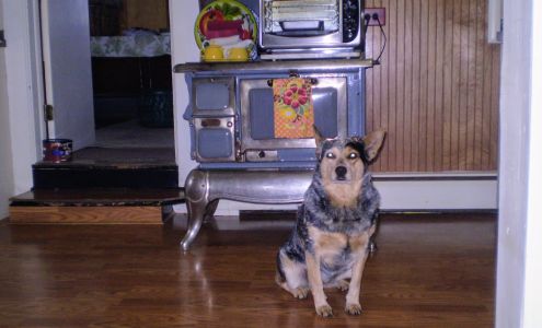 Alpine Lumber Company