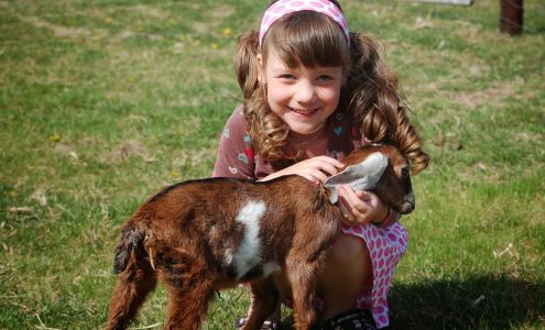 Doe's and Diva's Dairy, Inc. Honey Creek