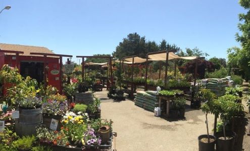Ploughshares Nursery