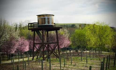 Hartley Farms San Miguel