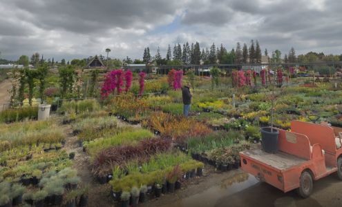 Green Thumb Nursery - Growing Grounds