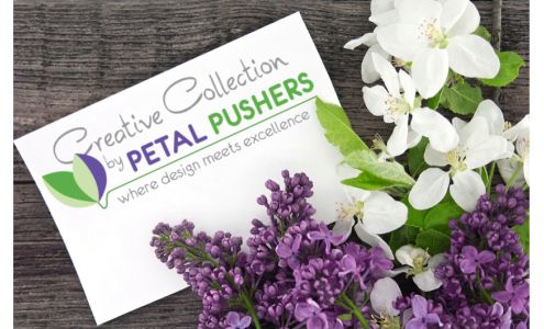Creative Collection by Petal Pushers
